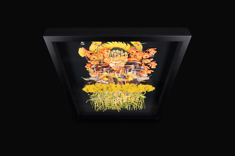 Thumbnail: 'Sunray' by Jana Nicole