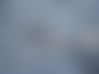 Shalimar Roofing Company Does It Right The First Time