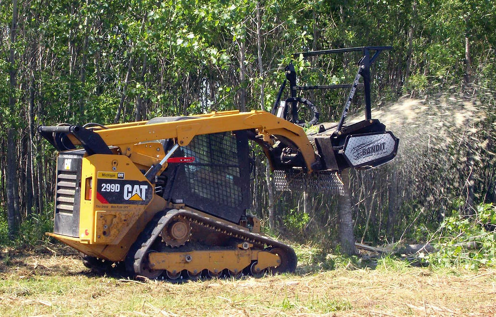 wooded property in Panama City FL managed by a land management company