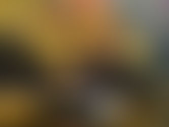 Person kayaking on the Blackwater River surrounded by fall foliage, showcasing scenic kayak trips and outdoor recreation in Okaloosa County, Florida.