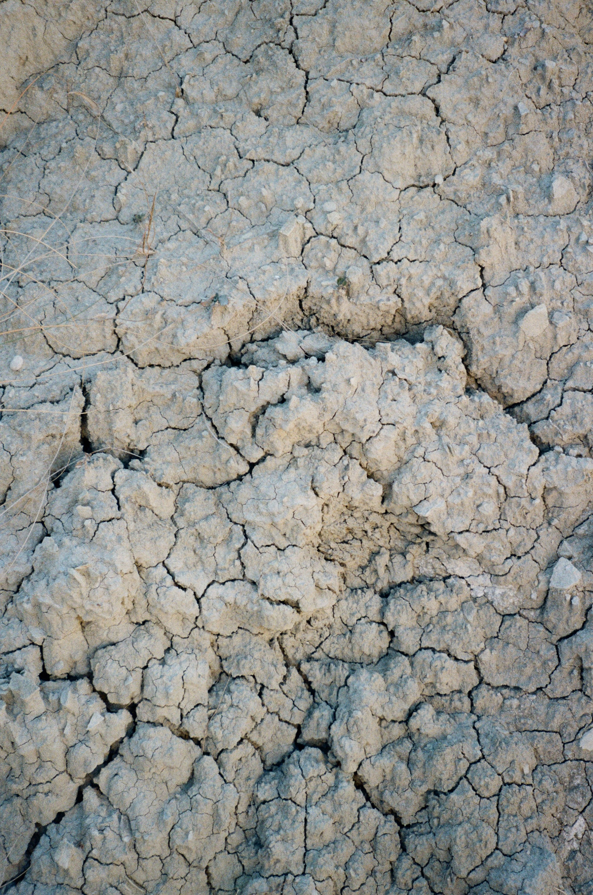 Фотографии доступные к печати