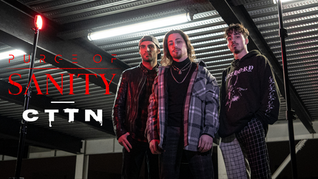 Purge Of Sanity - CTTN ft. Mirza Radonjica of Siamese | Core Community
