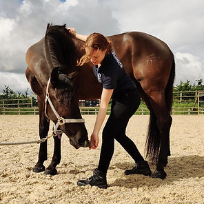 Ceola performing baited neck exercise with a horse