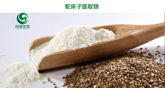 高品质蛇床子提取物的供应与市场需求分析