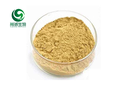 巴戟天提取物 尚诚生物.png