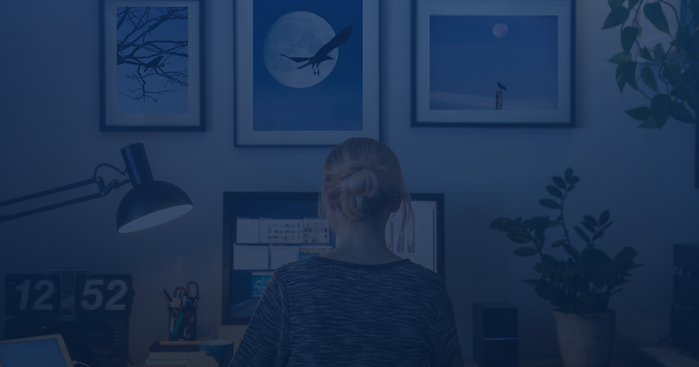 This is an image of a woman studying at her home computer in her home office. She sits at her desk in front of a large computer monitor. we see the back of her. Above her are three artistic photographs - each a different image with a crow and full moon. The entire image has a dark blue overlay.