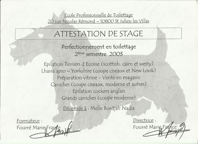 stage.jpeg