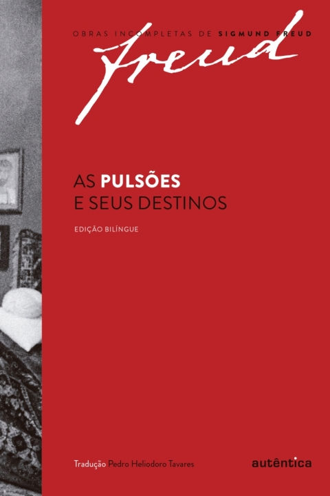 As pulsões e seus destinos