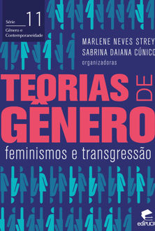 Teorias de gênero: feminismos e transgressão
