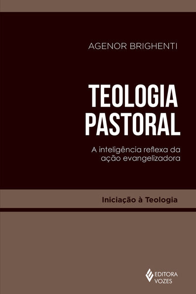 Teologia pastoral: a inteligência reflexa da ação evangelizadora