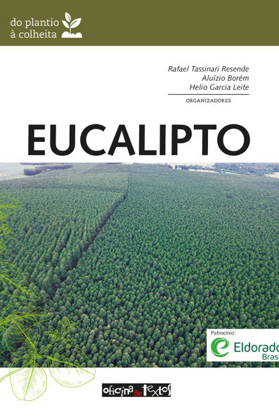Eucalipto do plantio à colheita