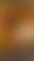 Hollywood-themed organic balloon garland with LED rope lights and gold stars for Oakwood Friends High School prom at Mill Creek Caterers Hopewell Junction NY