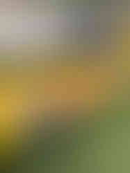 balloon drop with 2,000 smiley face balloons for Hangover-themed adult party at Socceroof Sunset Park Brooklyn NY