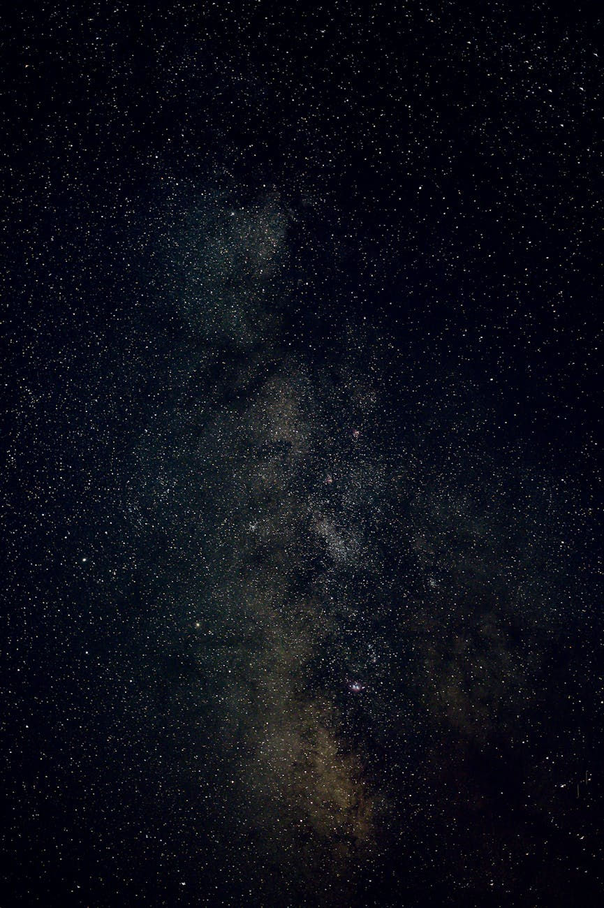 Pexels Photo by Brett Sayles