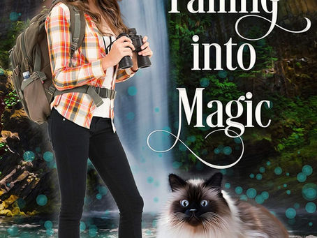 Review: Falling into Magic by Elizabeth Pantley
