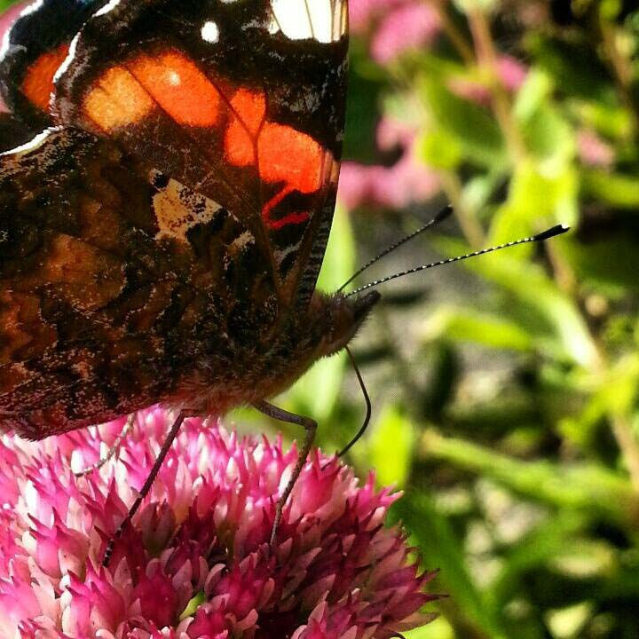 taken on Samsung S3
