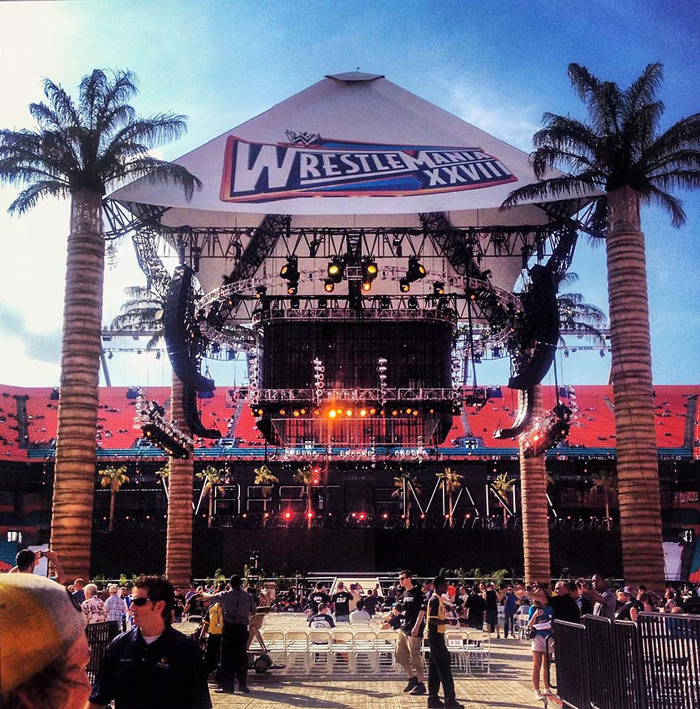 Wrestlemania 28