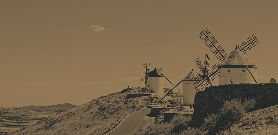 homepage-vanguardia-española-molinos.png