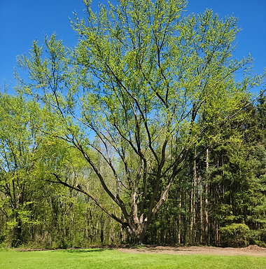 Resized_20240502_151818 2.HEIC