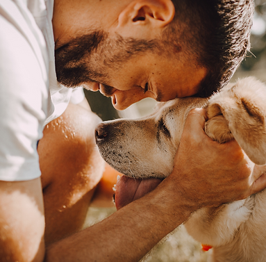 Stock Photos For Grief Managment (1).png