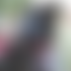 A Good Boy with a Great Recovery Story