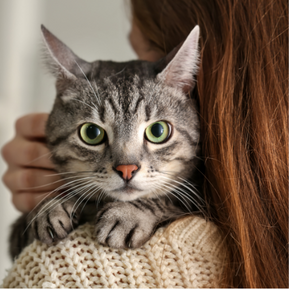 Coping With Anticipatory Grief of Pet Loss