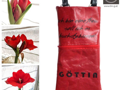 Amaryllis, auch eine Göttin