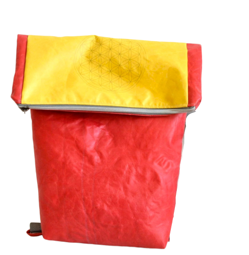 INA4in1_rot_gelb_BldLebens__1_-removebg-