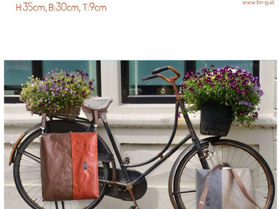 I want to ride my bicycle
