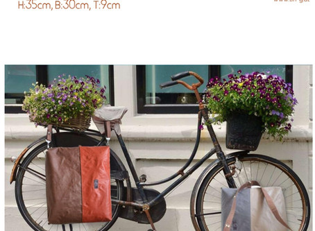 I want to ride my bicycle
