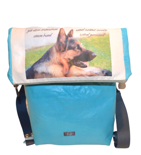 Ina_aqua_Hund-removebg-preview