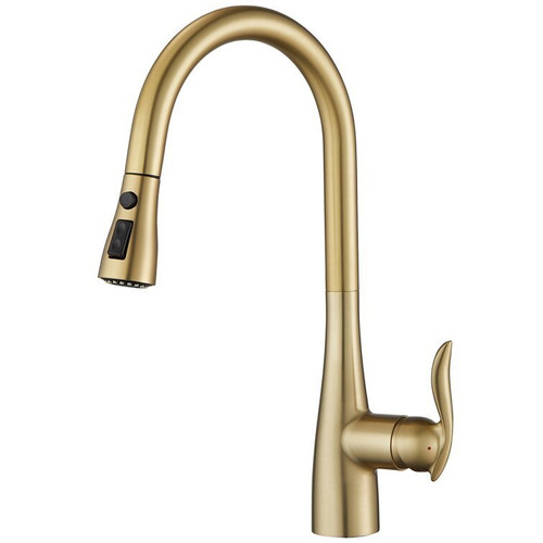 Kitchen Faucet Newton Dual Spray Brushed Gold