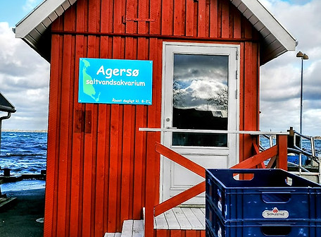 Agersø - Værd at vide | Agersø