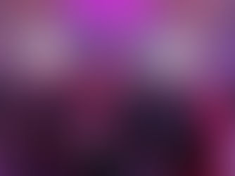 Arcturus Team at the FIRST U.S. Governor’s Cup