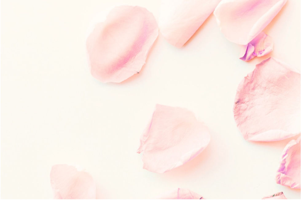 Screenshot 2025-09-24 at 10.33_edited.jpg