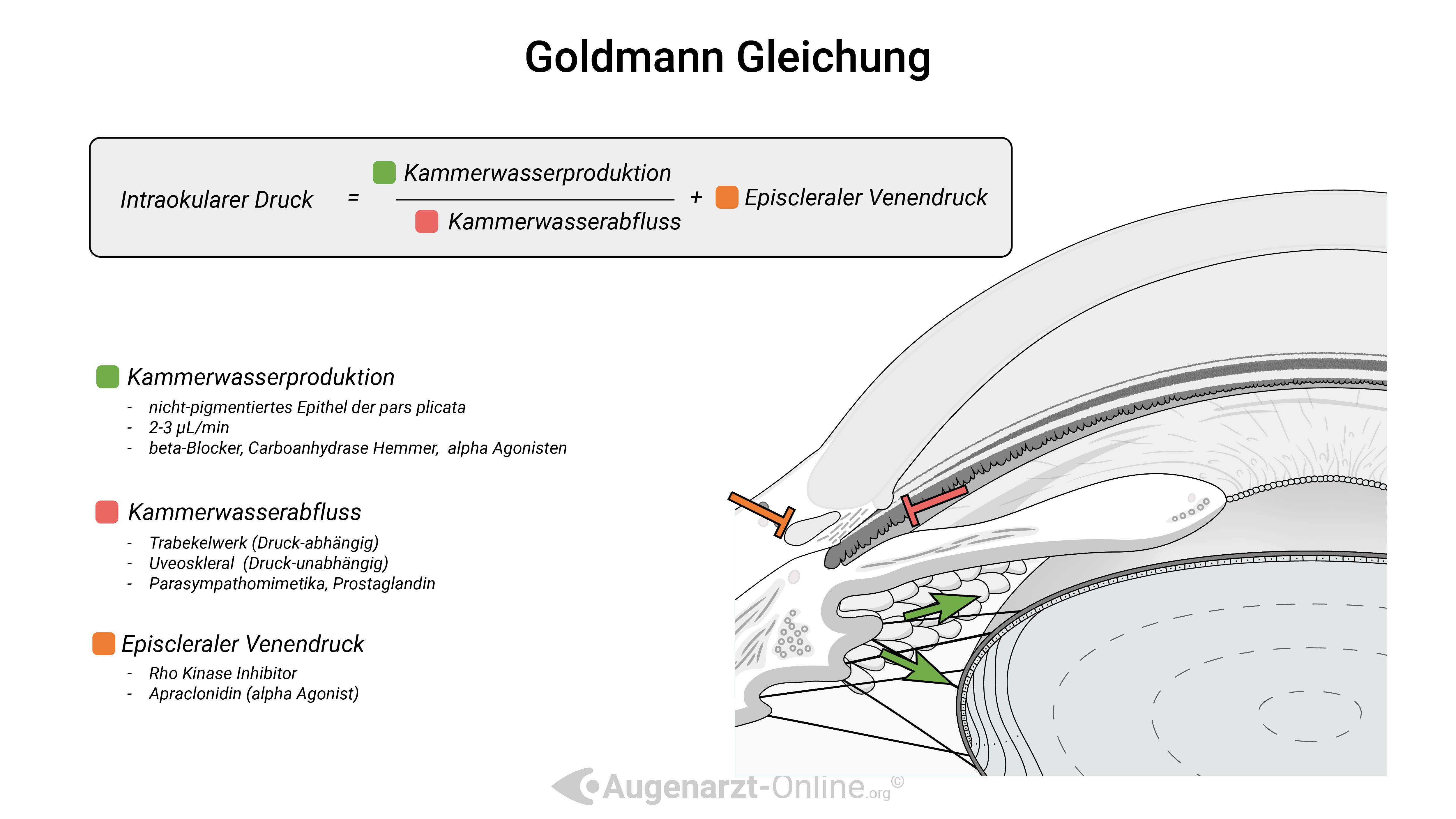 Goldmann Gleichung-Illustration-00000001-187.jpg