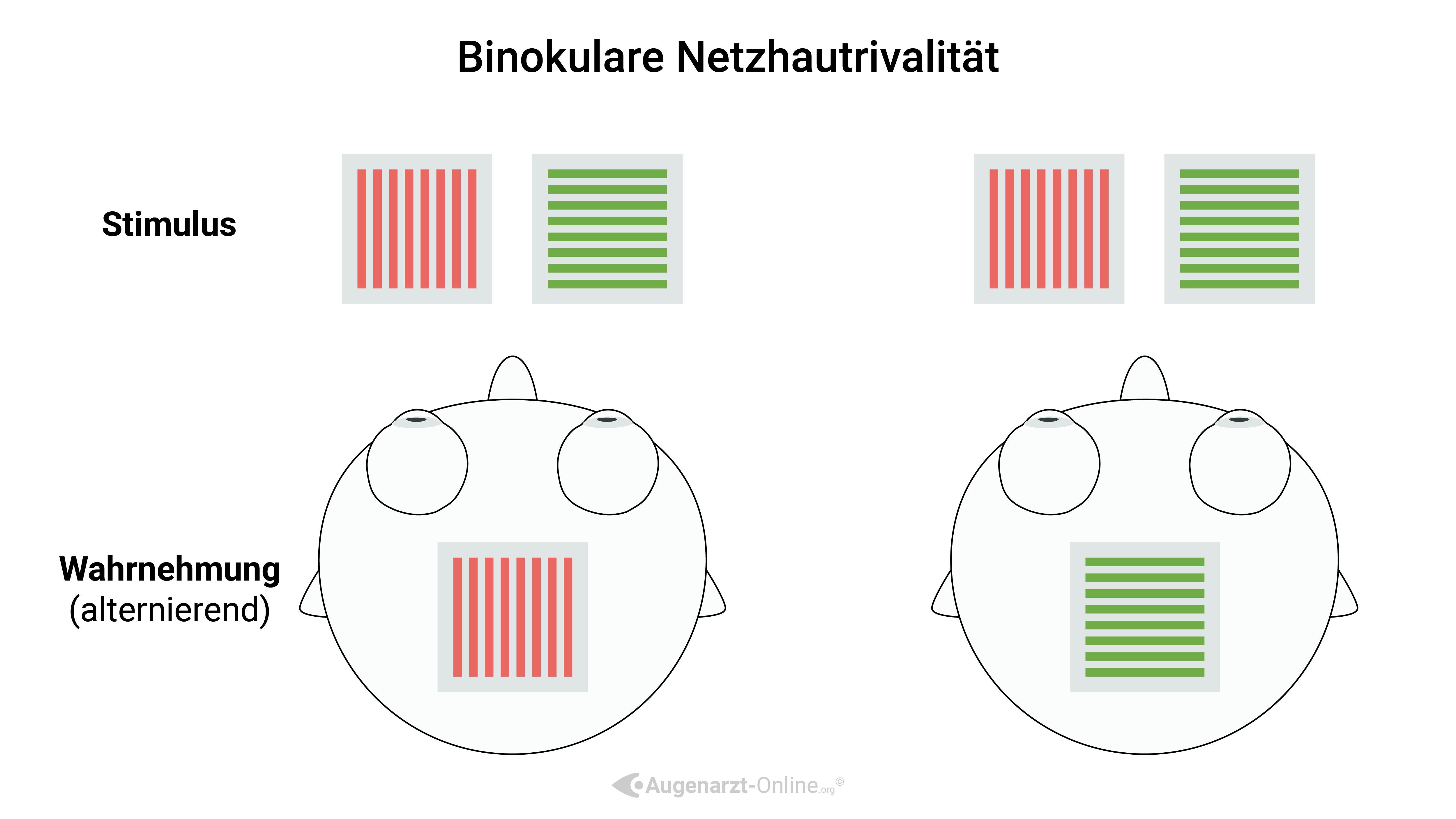Binokulare Rivalität