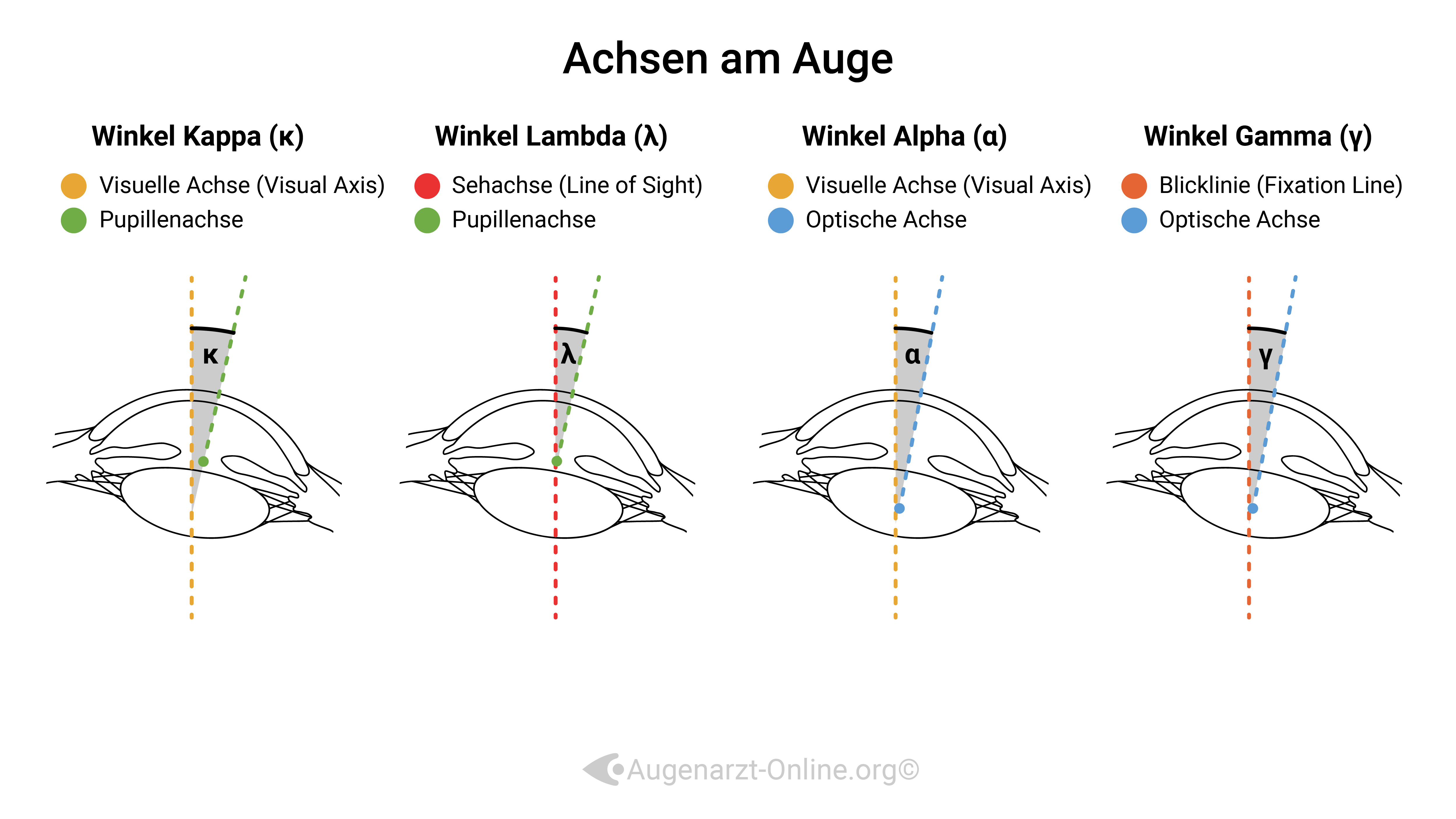 Achsen im Auge-Illustration-00000006- Winkel Kappa Lambda Alpha-Tilt-Zentrierung-Optische .jpg