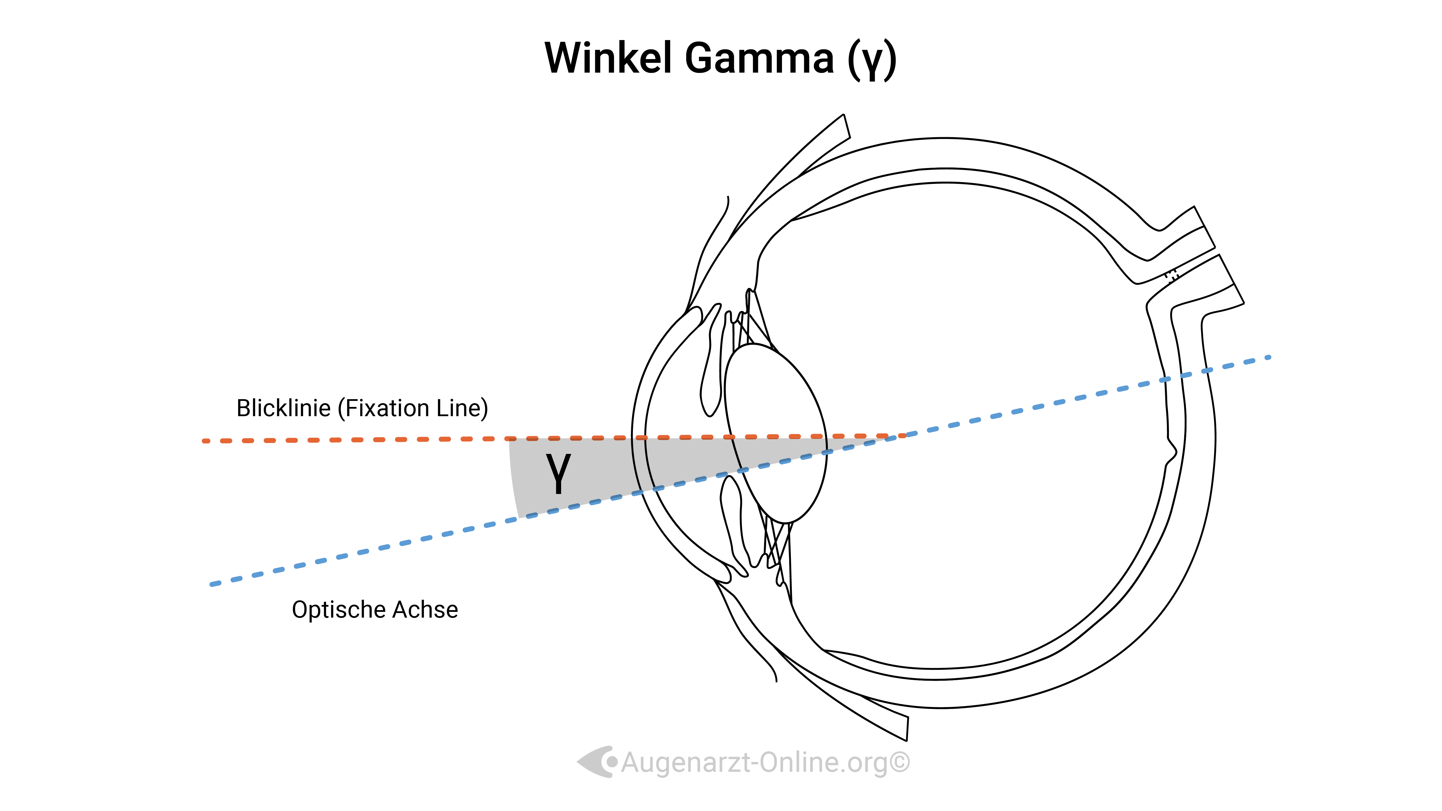 Achsen im Auge-Illustration-00000008-Winkel Gamma.jpg