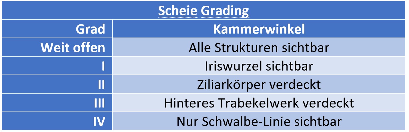 Scheie Klassifikation