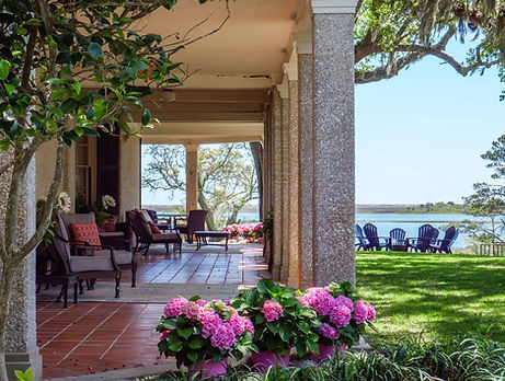 A - South Porch hydrangeas.jpg