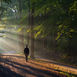 A person walking along a peaceful wooded trail at sunrise, symbolizing hope and healing after grief.