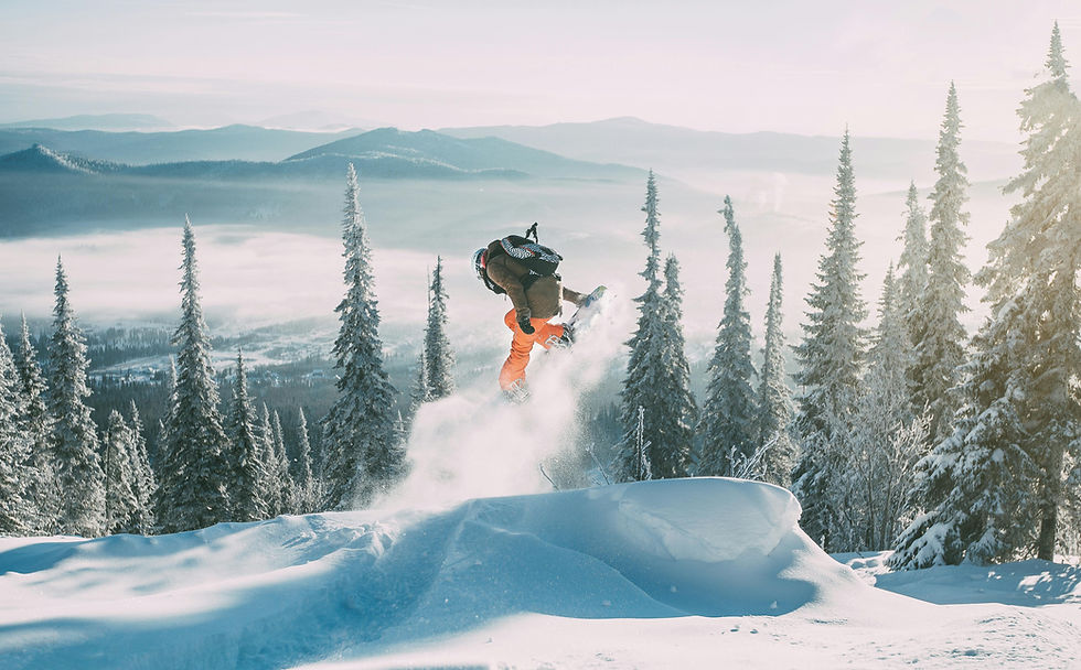 Premier Ski Lessons