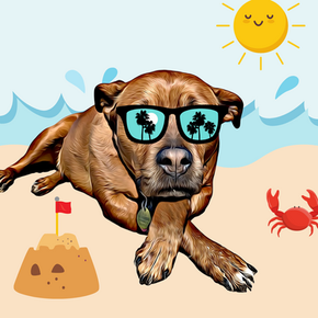 Beach Day Naiya