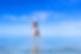 17931618191392643.webp