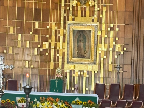 Peregrinación diocesana a la Basílica de Guadalupe