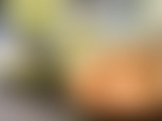 Winning Summer Recipes with Pork Rinds