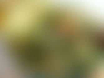 Spring Means Greenery Everywhere ... And Yes, Even in Your Diet!