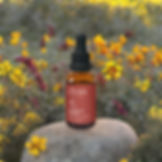 Vitamin E Serum