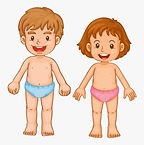 524-5248571_chest-clipart-child-kids-bod